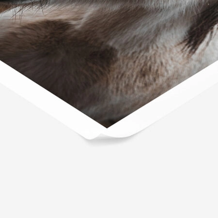 Poster RUSTIC FARMHOUSE HORSE 14 -  Sticky 1