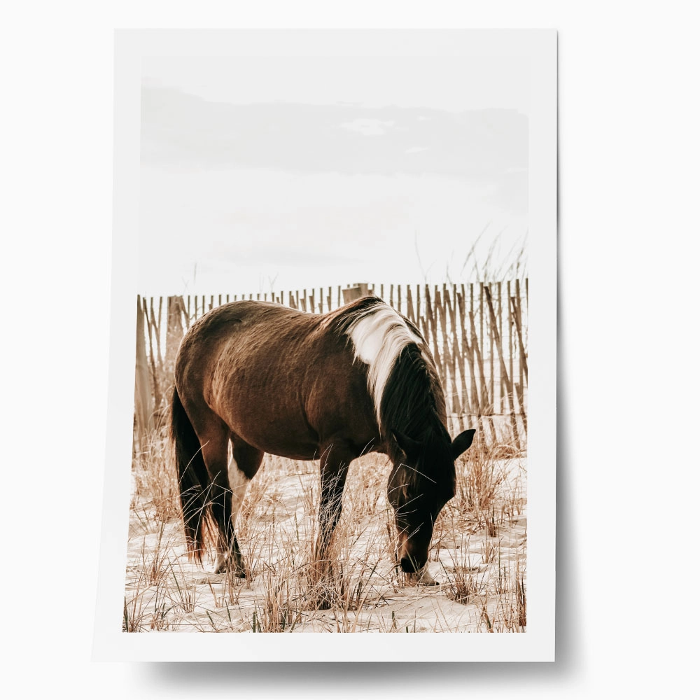 Poster RUSTIC FARMHOUSE HORSE 15