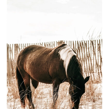 Poster RUSTIC FARMHOUSE HORSE 15 -  Sticky 2
