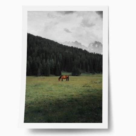 Poster RUSTIC FARMHOUSE HORSE 17 - 