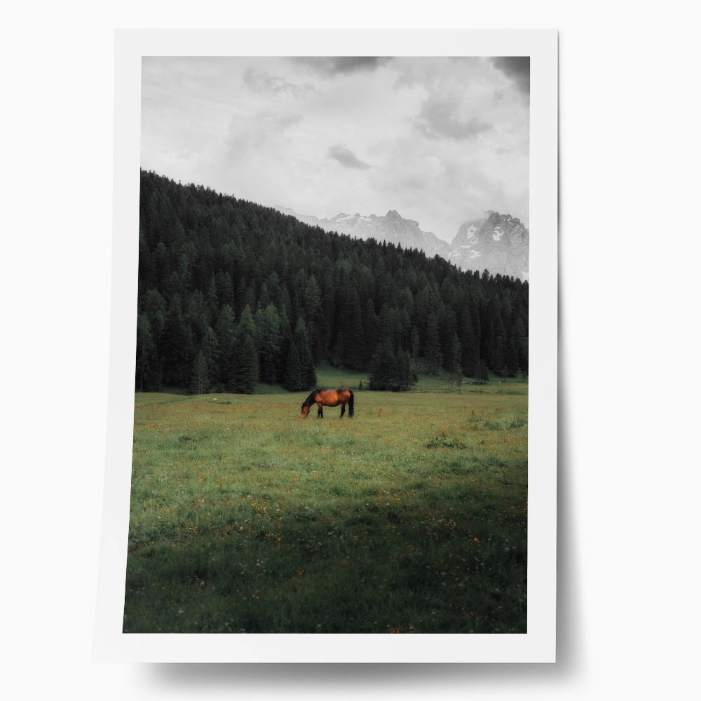 Poster RUSTIC FARMHOUSE HORSE 17