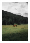 Poster RUSTIC FARMHOUSE HORSE 17
