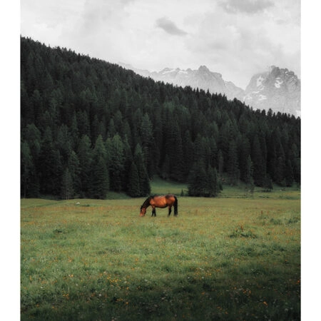 Poster RUSTIC FARMHOUSE HORSE 17 -  Sticky 2