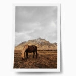 Poster RUSTIC FARMHOUSE HORSE 18