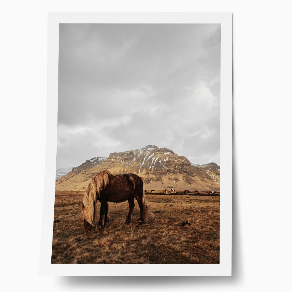 Poster RUSTIC FARMHOUSE HORSE 18