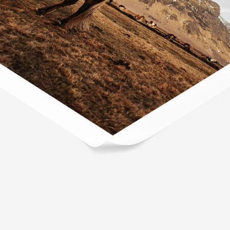 Poster RUSTIC FARMHOUSE HORSE 18 -  Sticky 1