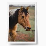 Poster RUSTIC FARMHOUSE HORSE 19