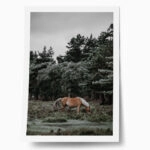 Poster RUSTIC FARMHOUSE HORSE 2