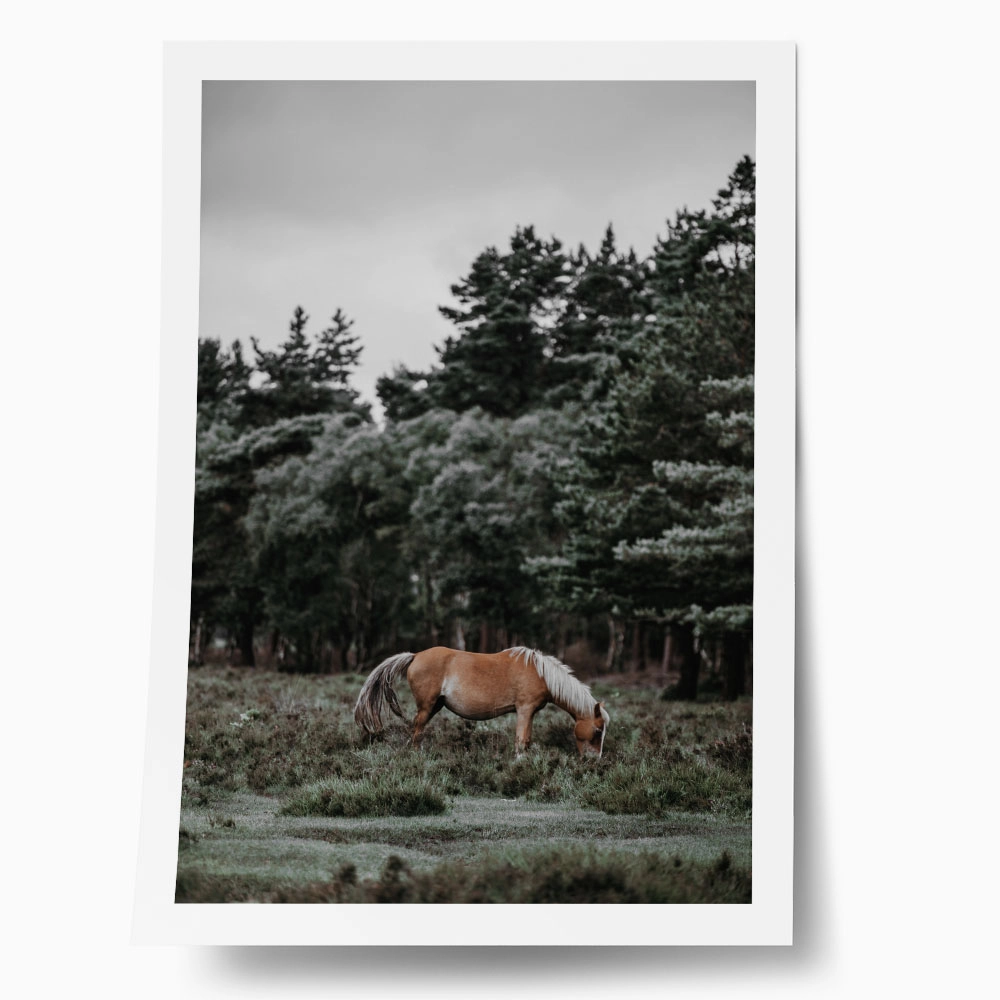 Poster RUSTIC FARMHOUSE HORSE 2