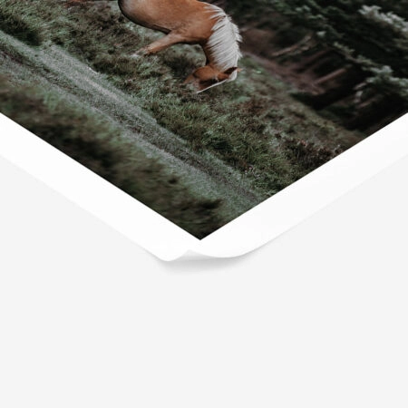 Poster RUSTIC FARMHOUSE HORSE 2 -  Sticky 1