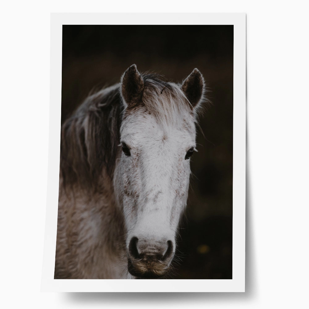 Poster RUSTIC FARMHOUSE HORSE 4