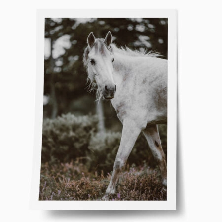 Poster RUSTIC FARMHOUSE HORSE 5 - 