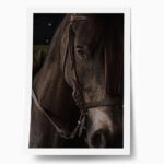 Poster RUSTIC FARMHOUSE HORSE 7