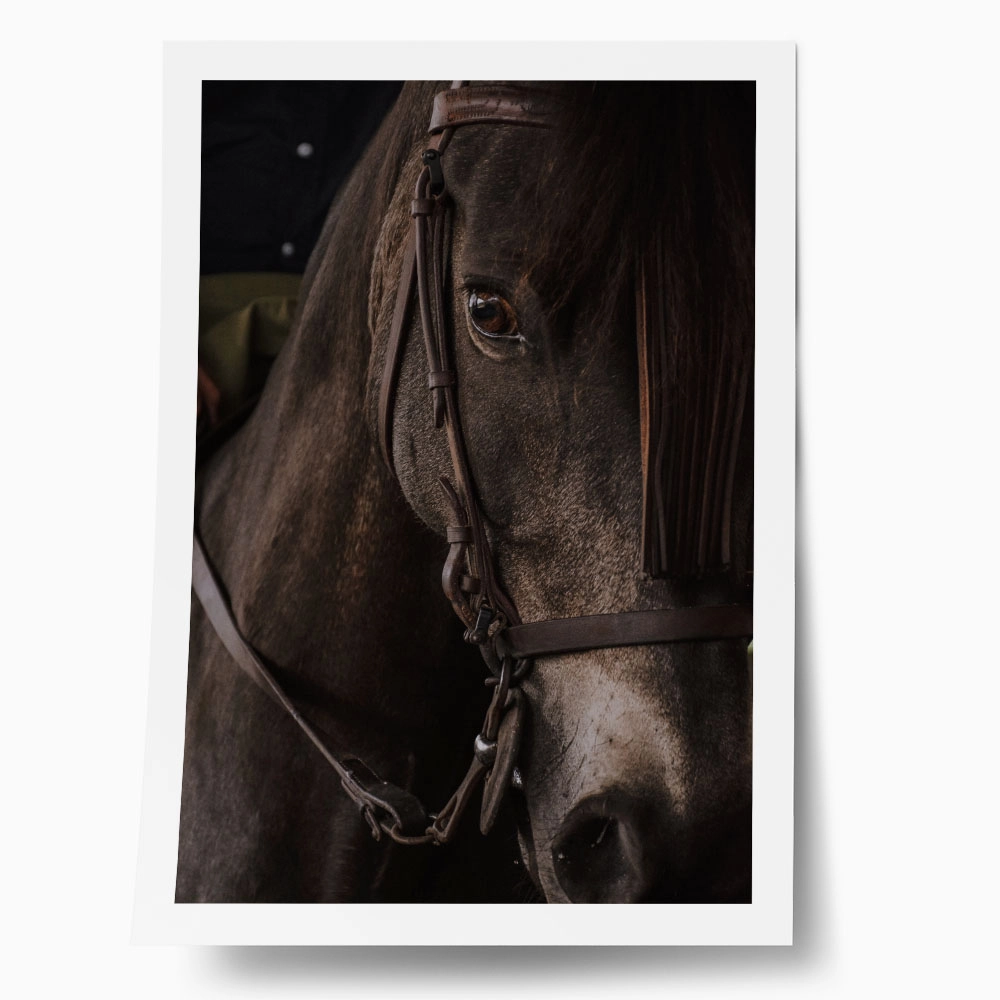 Poster RUSTIC FARMHOUSE HORSE 7