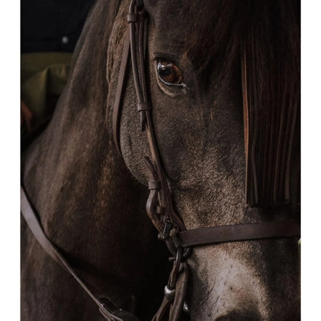 Poster RUSTIC FARMHOUSE HORSE 7 -  Sticky 2