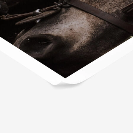 Poster RUSTIC FARMHOUSE HORSE 7 -  Sticky 1