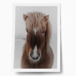 Poster RUSTIC FARMHOUSE HORSE 8
