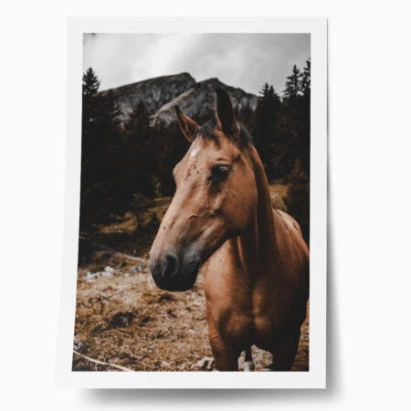 Poster RUSTIC FARMHOUSE HORSE 9 - 