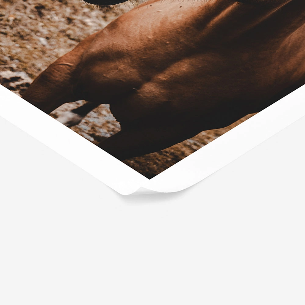 Poster RUSTIC FARMHOUSE HORSE 9