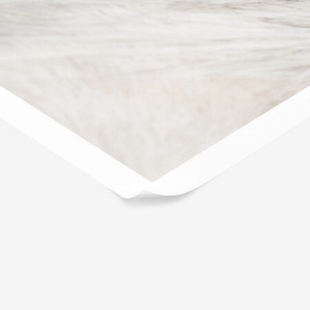 Poster RUSTIC FARMHOUSE HORSE EAR -  Sticky 1