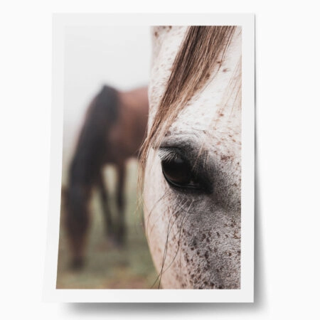 Poster RUSTIC FARMHOUSE HORSE EYE - 