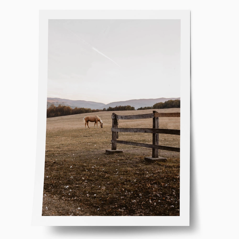 Poster RUSTIC FARMHOUSE HORSE FIELD