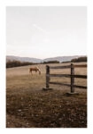 Poster RUSTIC FARMHOUSE HORSE FIELD
