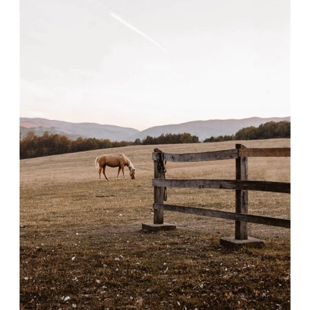 Poster RUSTIC FARMHOUSE HORSE FIELD -  Sticky 2