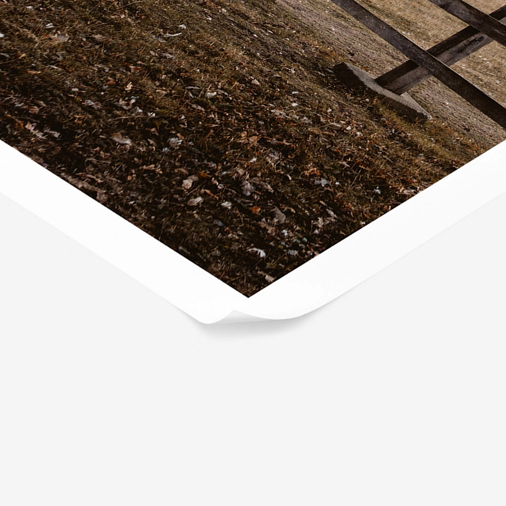 Poster RUSTIC FARMHOUSE HORSE FIELD
