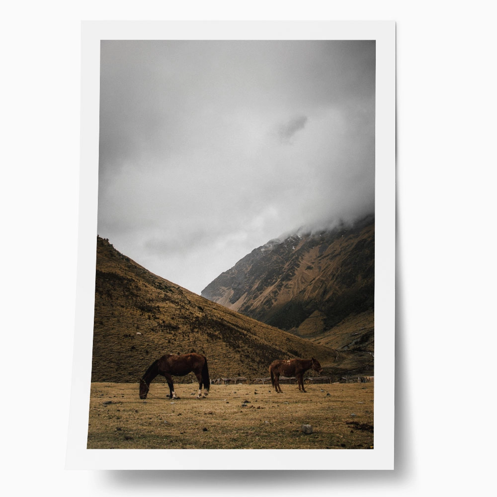 Poster RUSTIC FARMHOUSE HORSES 2