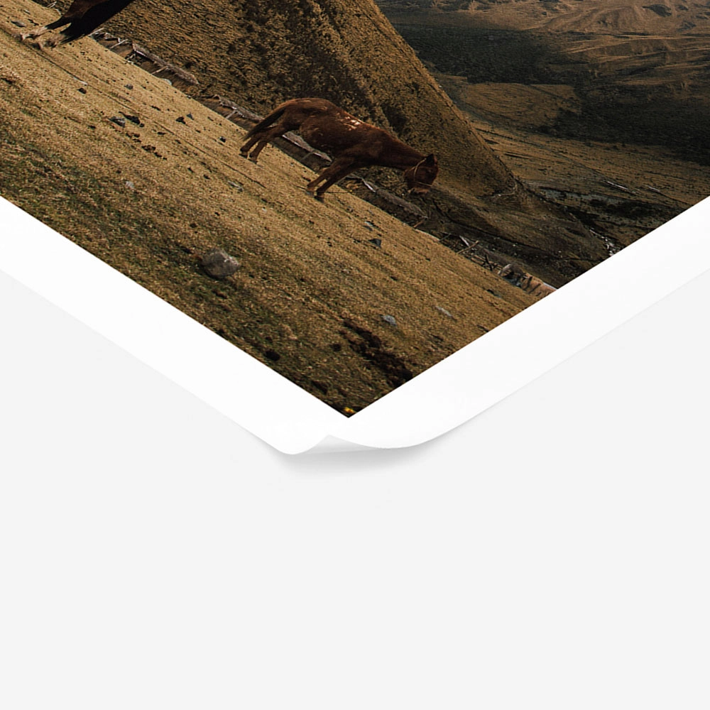 Poster RUSTIC FARMHOUSE HORSES 2