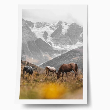 Poster RUSTIC FARMHOUSE HORSES 3 - 