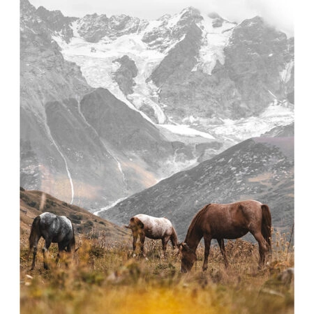 Poster RUSTIC FARMHOUSE HORSES 3 -  Sticky 2