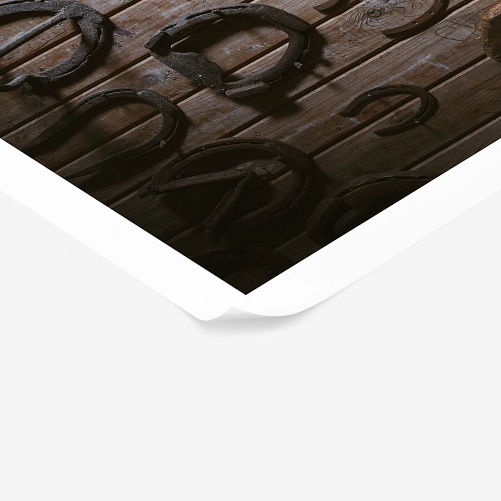 Poster RUSTIC FARMHOUSE HORSESHOES