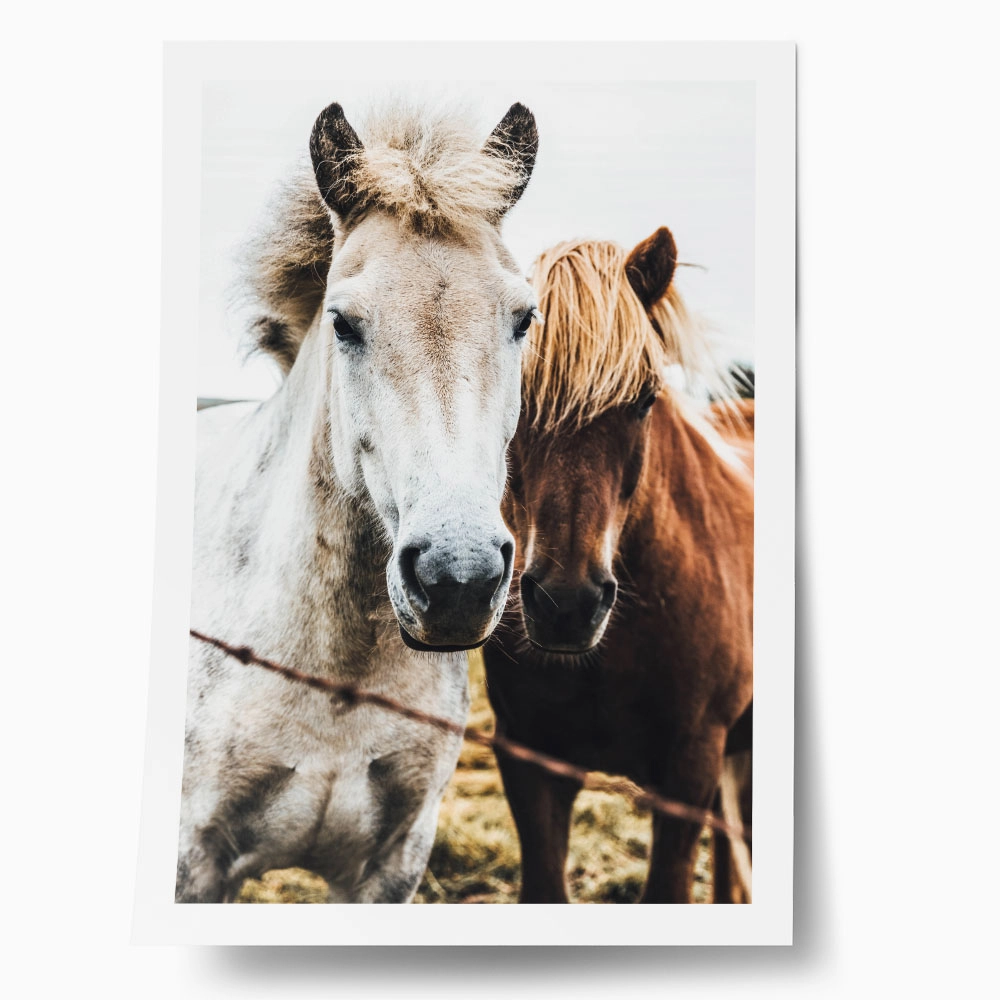 Poster RUSTIC FARMHOUSE HORSES