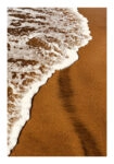 Poster RUSTIC FARMHOUSE LAKE FOAM