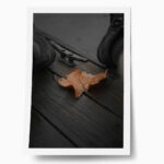 Poster RUSTIC FARMHOUSE LEAF
