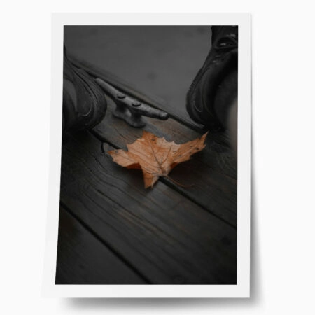 Poster RUSTIC FARMHOUSE LEAF - 