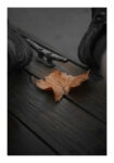 Poster RUSTIC FARMHOUSE LEAF