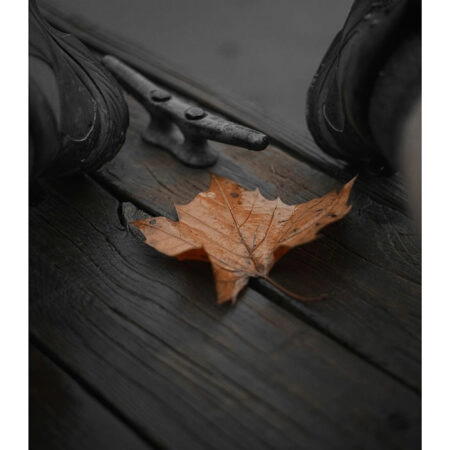Poster RUSTIC FARMHOUSE LEAF -  Sticky 2