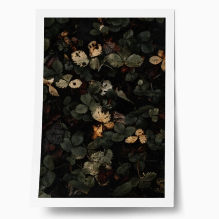 Poster RUSTIC FARMHOUSE LEAVES 2 - 