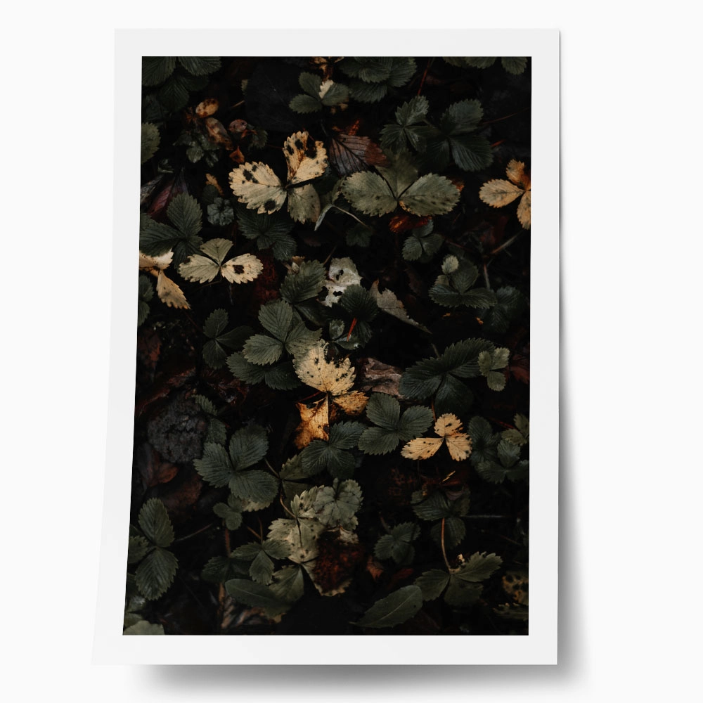 Poster RUSTIC FARMHOUSE LEAVES 2