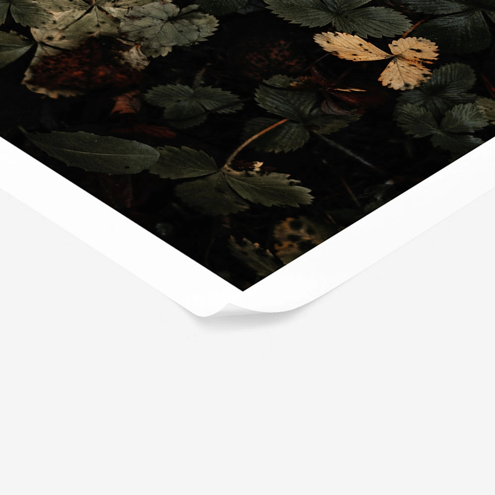 Poster RUSTIC FARMHOUSE LEAVES 2