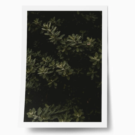 Poster RUSTIC FARMHOUSE LEAVES - 
