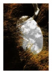 Poster RUSTIC FARMHOUSE MIRROR
