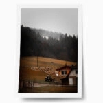 Poster RUSTIC FARMHOUSE MOUNTAIN FARM 2
