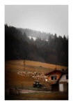Poster RUSTIC FARMHOUSE MOUNTAIN FARM 2