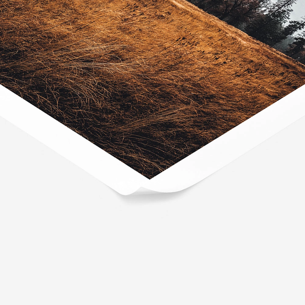 Poster RUSTIC FARMHOUSE MOUNTAIN LIFE 2