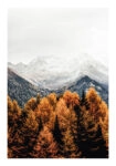 Poster RUSTIC FARMHOUSE MOUNTAIN LIFE 4