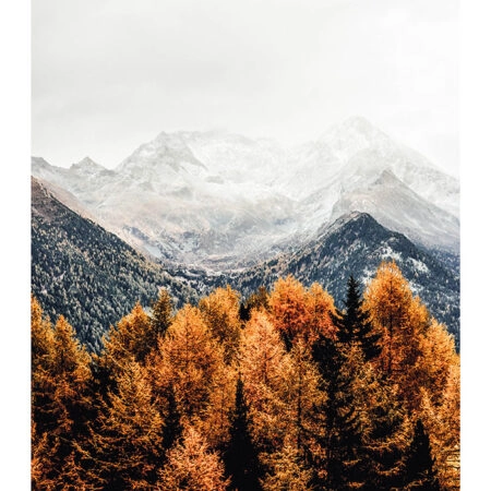 Poster RUSTIC FARMHOUSE MOUNTAIN LIFE 4 -  Sticky 2